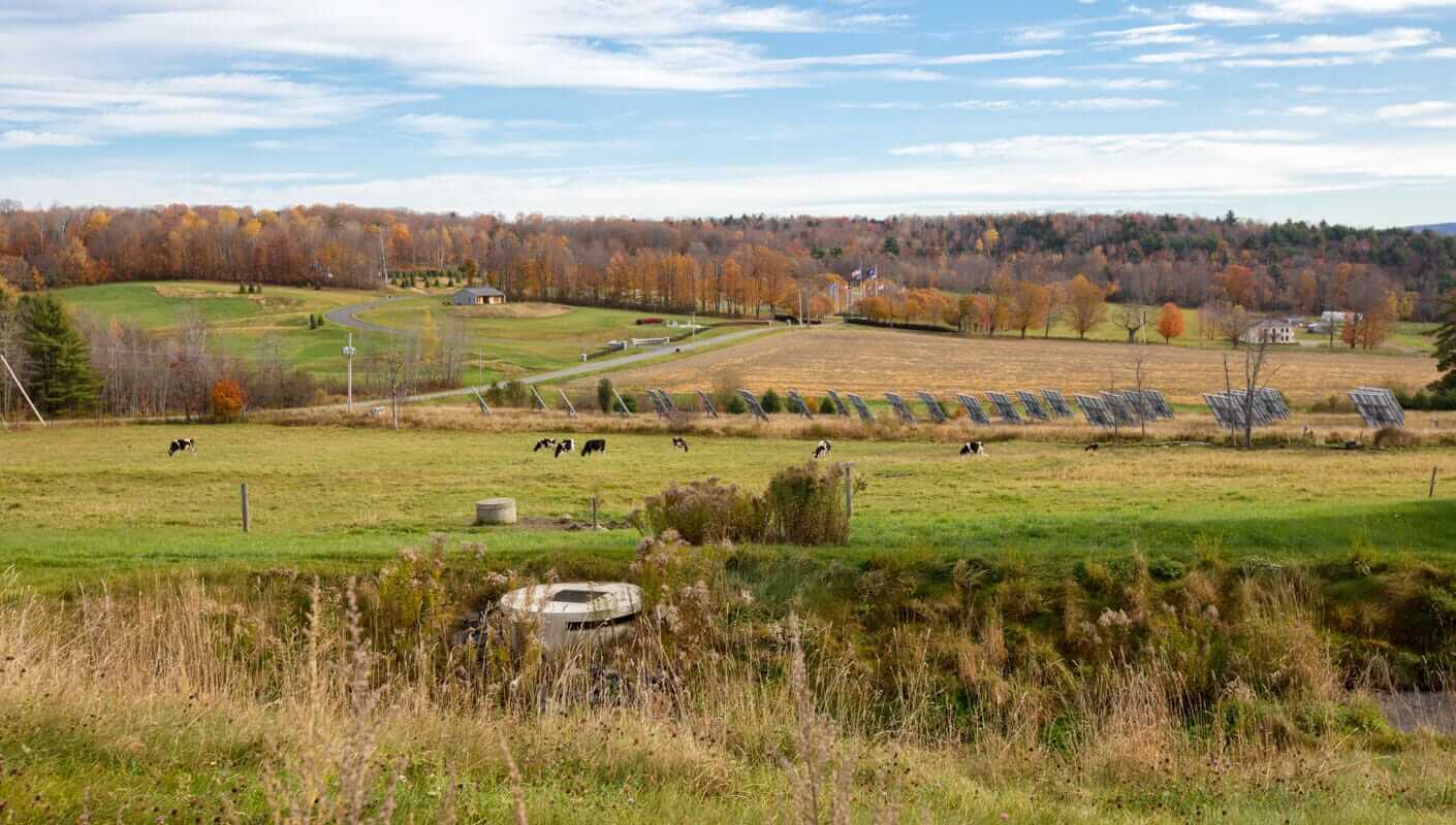 Pasture field